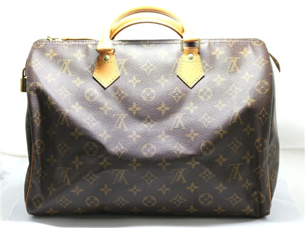 LOUIS VUITTON Speedy Handbag Monogram